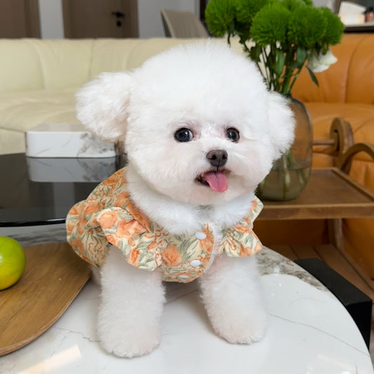Five Little White Bear Pet Clothes Fall and Winter New Arrival Fleece-lined Thickened Floral Flounced Sleeve Princess Dress Dog Cat Outwear
