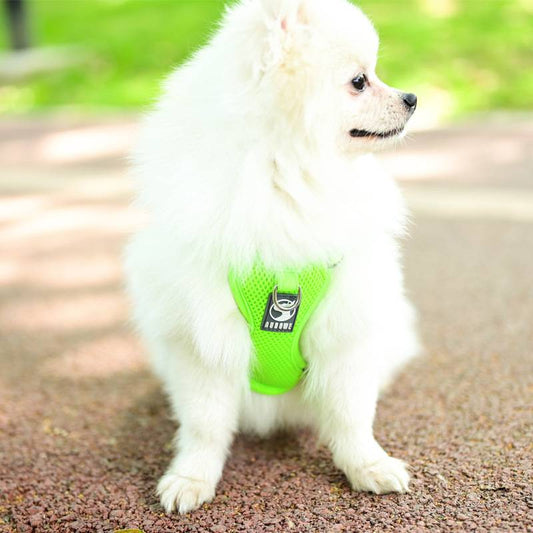 Small Size Dogs Pet Hand Holding Rope Dog Vest-Style Bichon Chest Strap Teddy Puppy Puppy Dog Leash Dog Chain