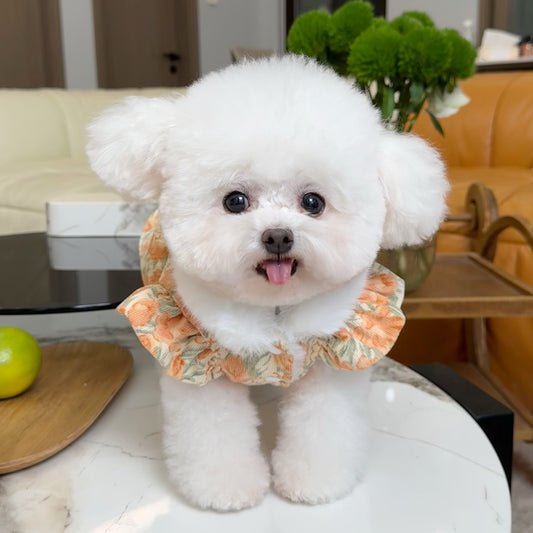 Five Little White Bear Pet Clothes Fall and Winter New Arrival Fleece-lined Thickened Floral Flounced Sleeve Princess Dress Dog Cat Outwear
