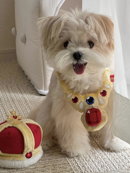 KKRP Pet Ins Fun Called Sound Gnawing Molar Sniffing Toy Dog Cat Small Size Dogs Pet Toy