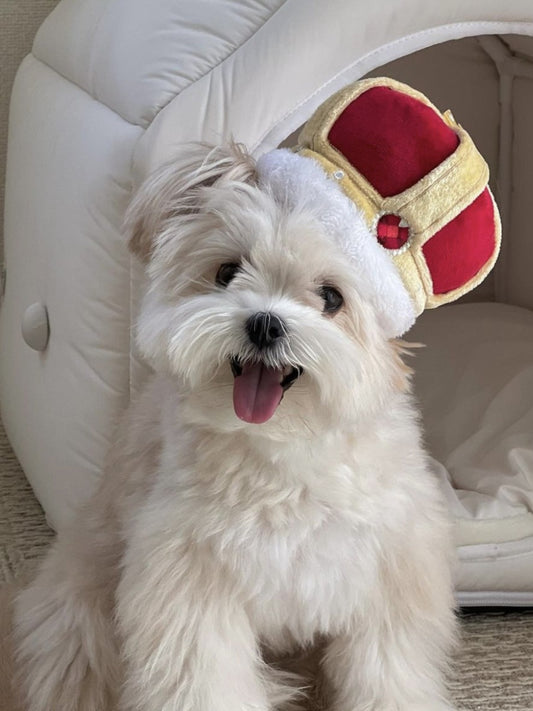 KKRP Pet Ins Fun Called Sound Gnawing Molar Sniffing Toy Dog Cat Small Size Dogs Pet Toy